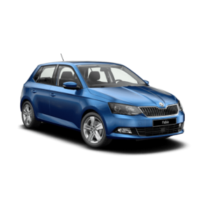 Выкуп автомобильных радиаторов Skoda Skoda Fabia